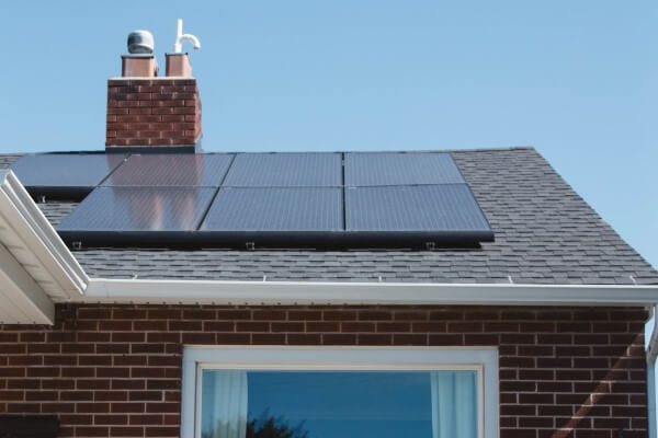 PEST CONTROL BUSHEY, Hertfordshire. Services: Solar Panel Bird Proofing. Secure Your Solar Panels Against Avian Threats with Local Pest Control Ltd's Professional Bird Proofing Services in Bushey